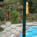 PVC Coated Hexagoal Netting Galvanized Chicken Wire Net